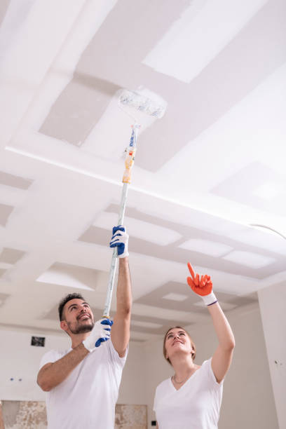 Best Basement Mold Removal  in Eagle Point, AL