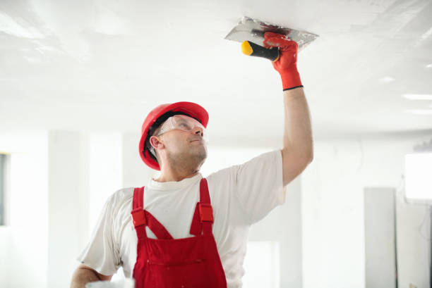 Best Real Estate Mold Inspection  in Eagle Point, AL