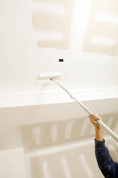 Reliable Eagle Point, AL Mold Removal Solutions